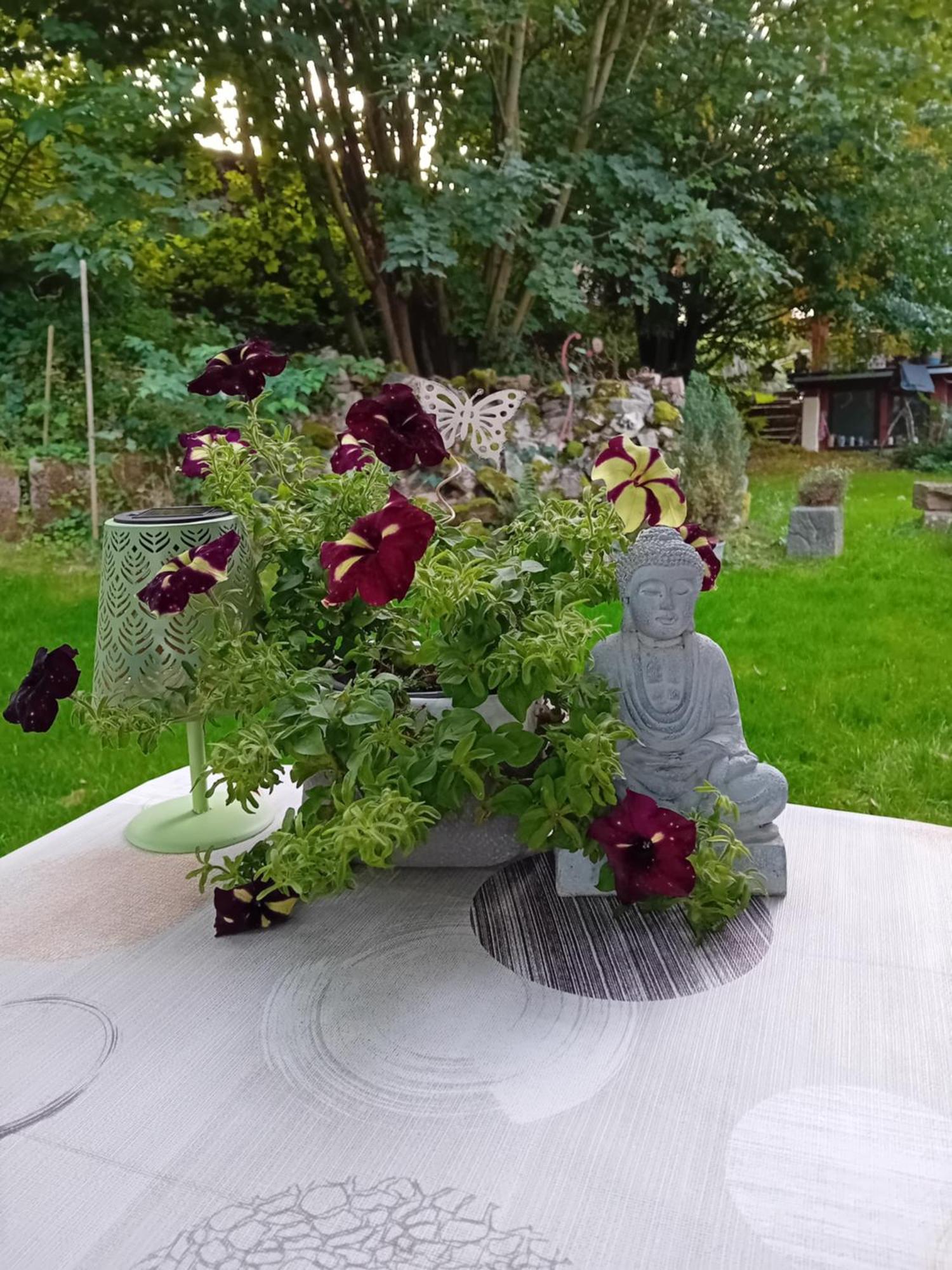 Apartment Mit Garten Im Odenwald Zu Vermieten Frankisch-Crumbach